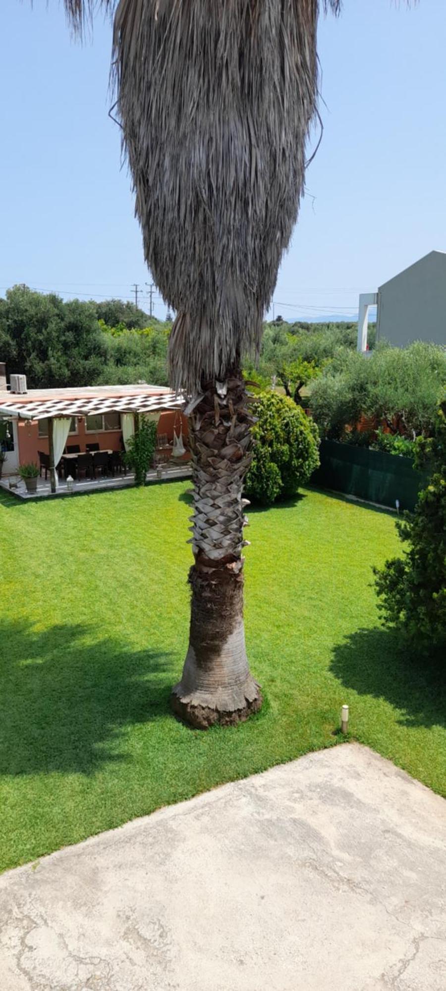 פרבזה Villa Oneiropagida מראה חיצוני תמונה